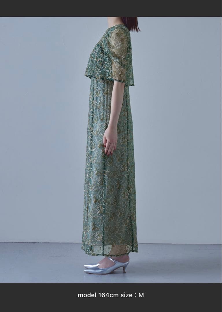 刺繍レースレイヤードドレス