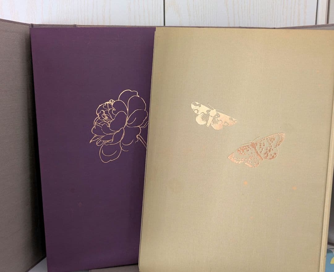 【４５年前に購入】　速水御舟 作品集