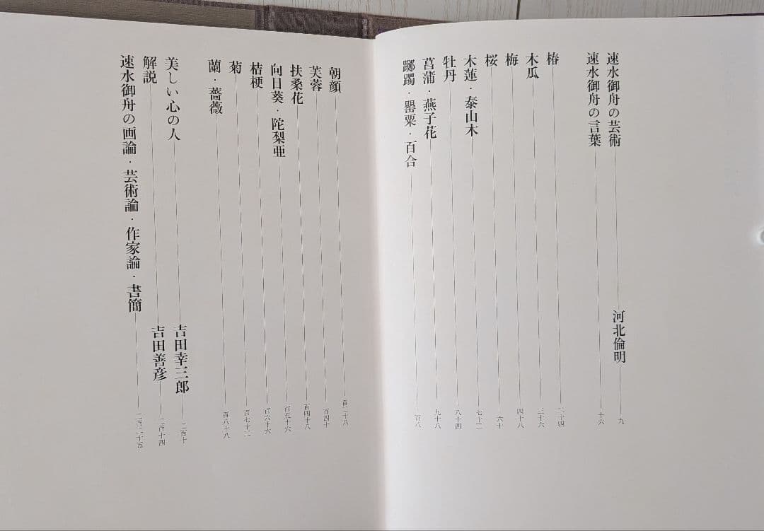 【４５年前に購入】　速水御舟 作品集