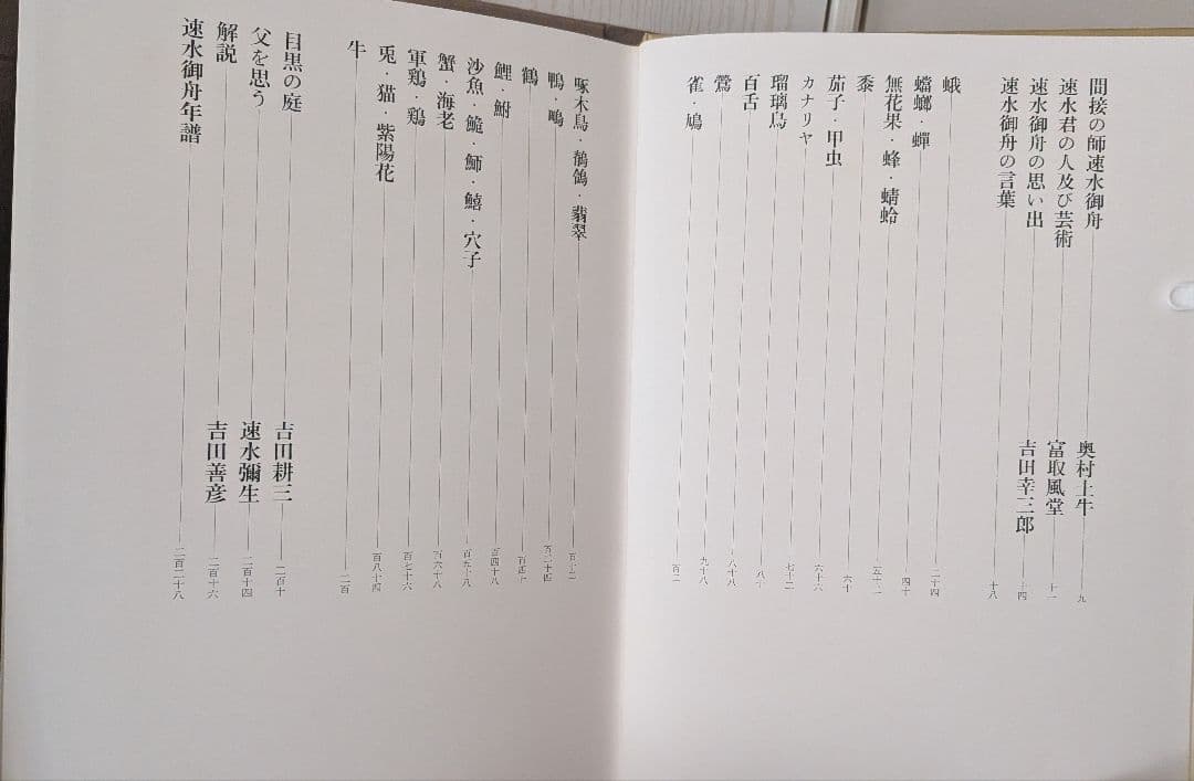 【４５年前に購入】　速水御舟 作品集