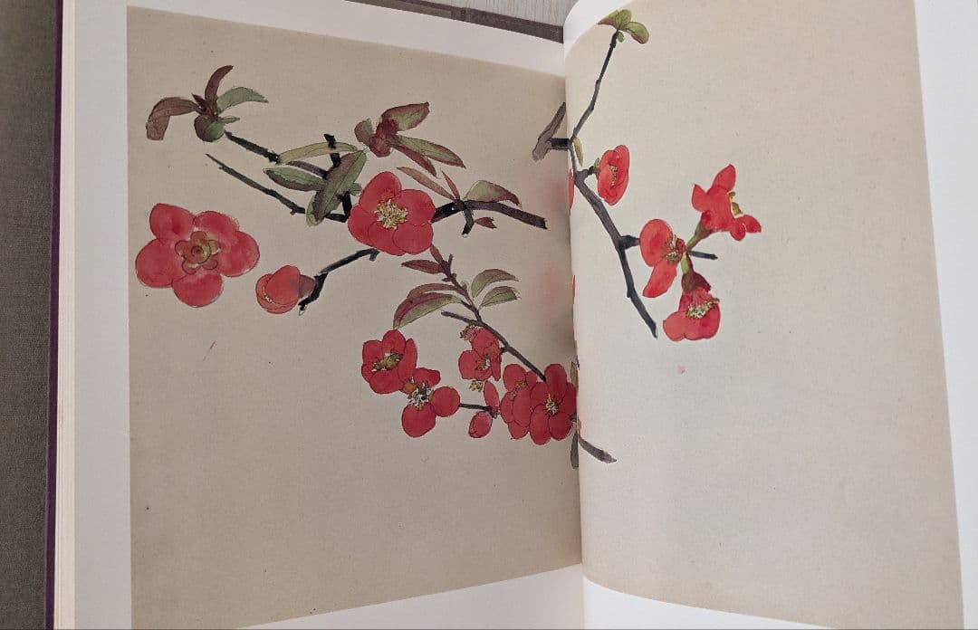 【４５年前に購入】　速水御舟 作品集