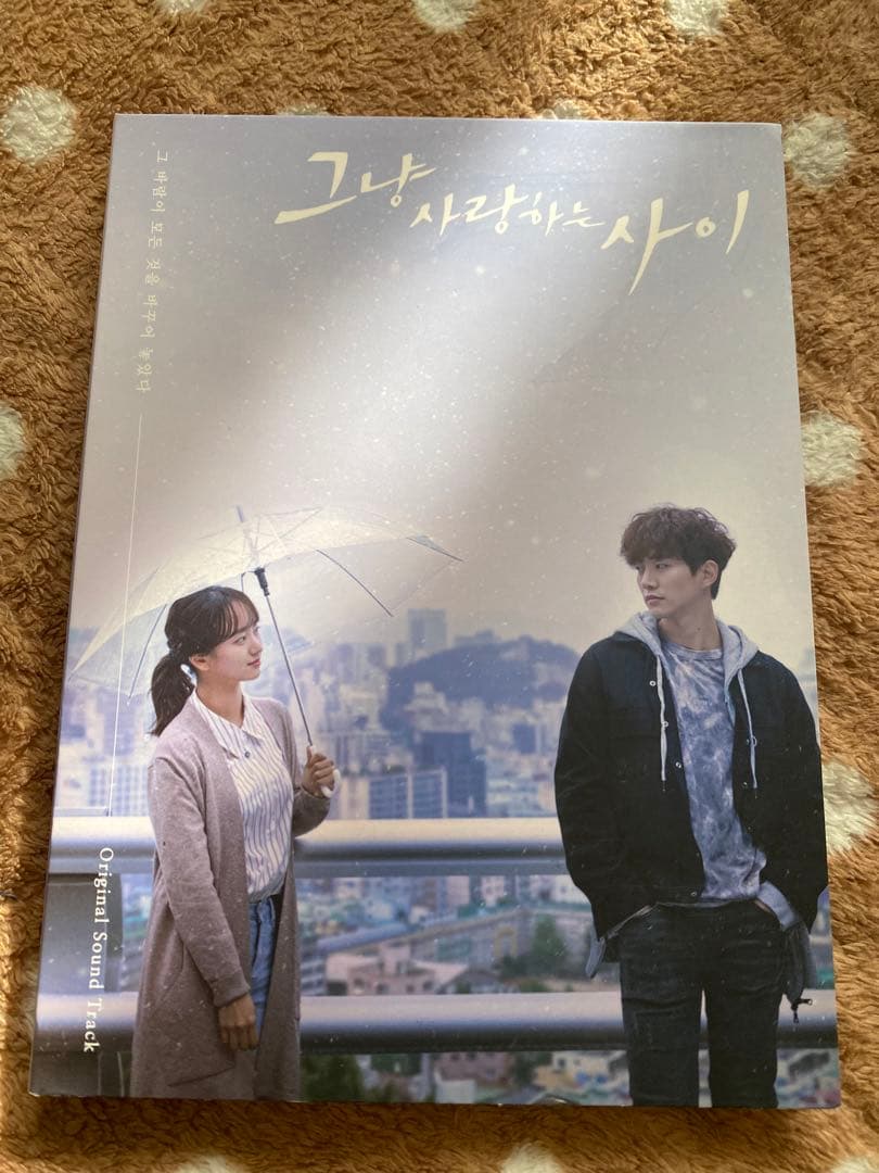 ただ愛する仲 OST CD