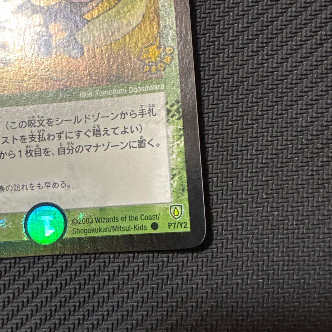 デュエル・マスターズ　フェアリーライフ　初期 プロモ デュエマクラシック05