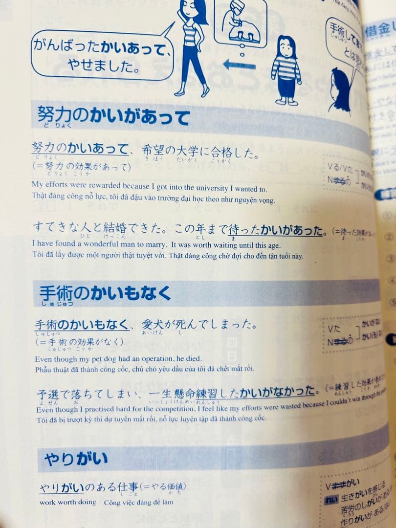 新品　日本語総まとめN1 N2 N3 N4 N5（ベトナム語・英語版） 18冊