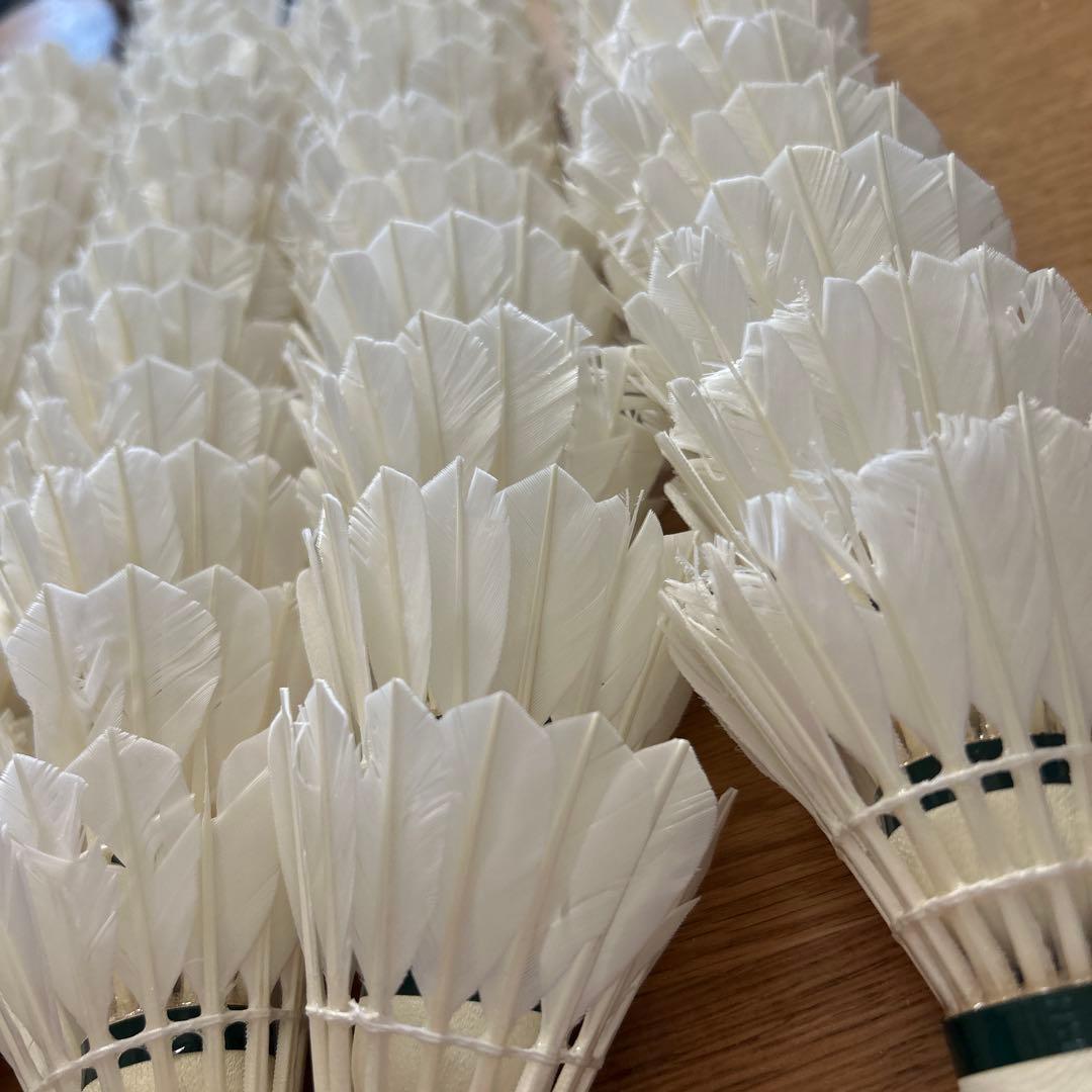 ヨネックス 中古 ノック シャトル