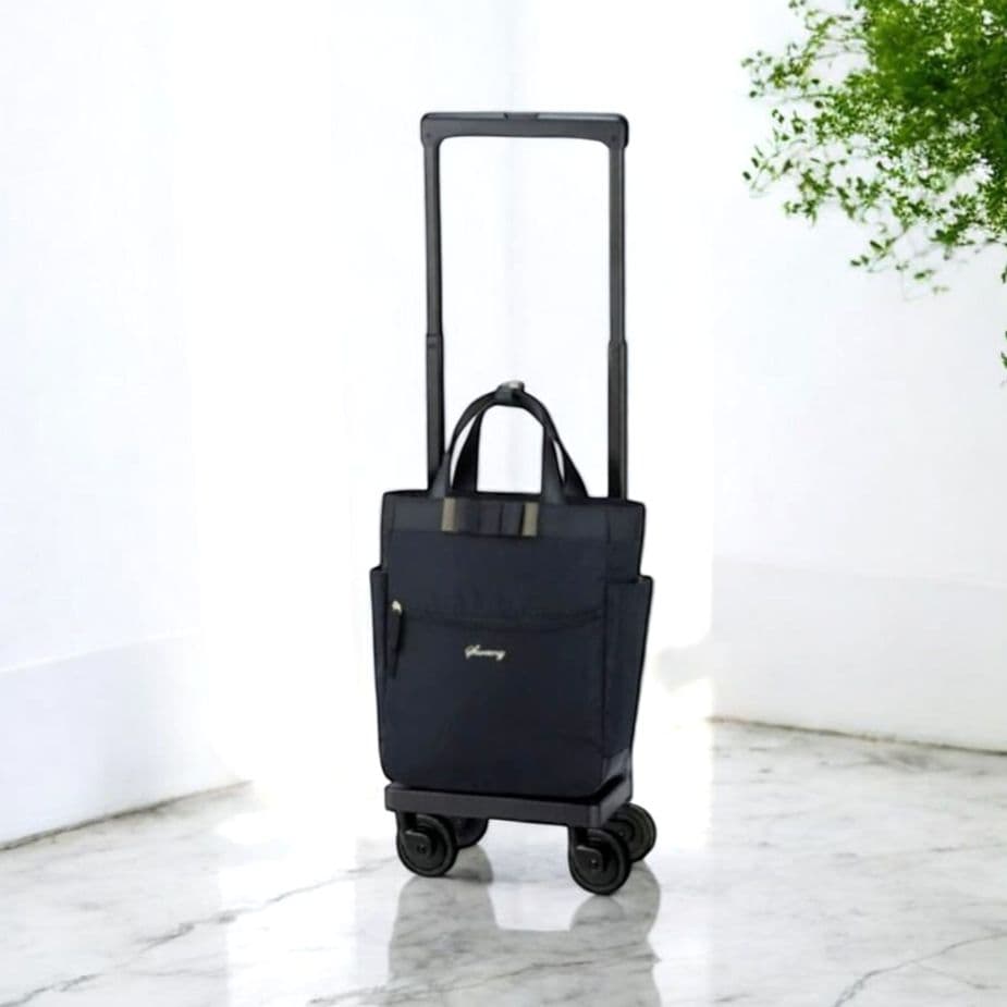 ✨美品✨SWANY スワニー　ルバンドIII　キャスターストッパー付　ブラック