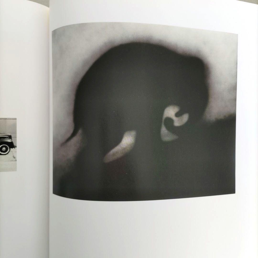 EDWARD RUSCHA /カタログ・レゾネ 絵画 第3巻1983-1988年