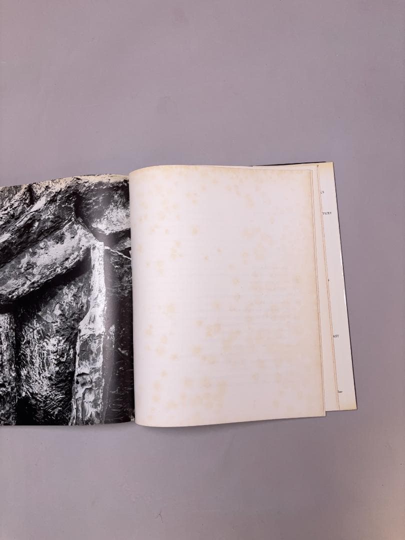 Marino Marini マリノ・マリーニ Praeger　Lederer