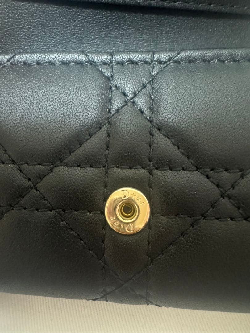 My Dior Aster キーケース