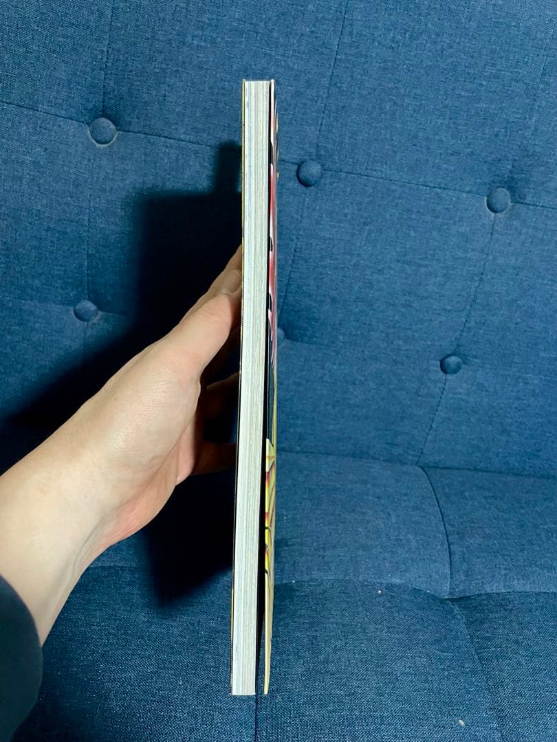 【早い者勝ち❗️】聖闘士星矢30周年記念画集-サンクチュアリ-