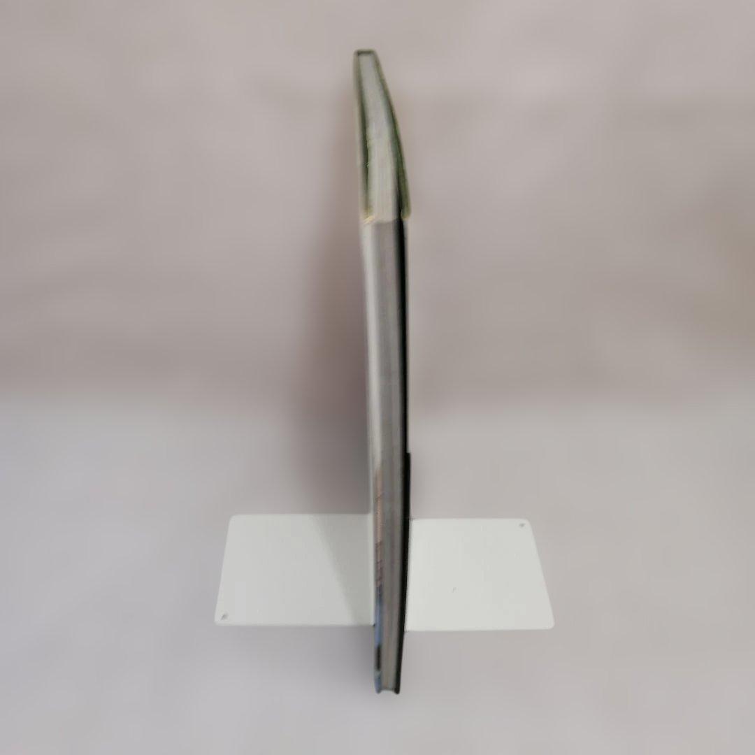 【希少】The IVY TERUYOSHI HAYASHIDA サイン入り