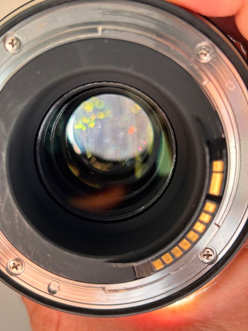 きよきお　TAMRON 70-210mm F/4 Di VC USD