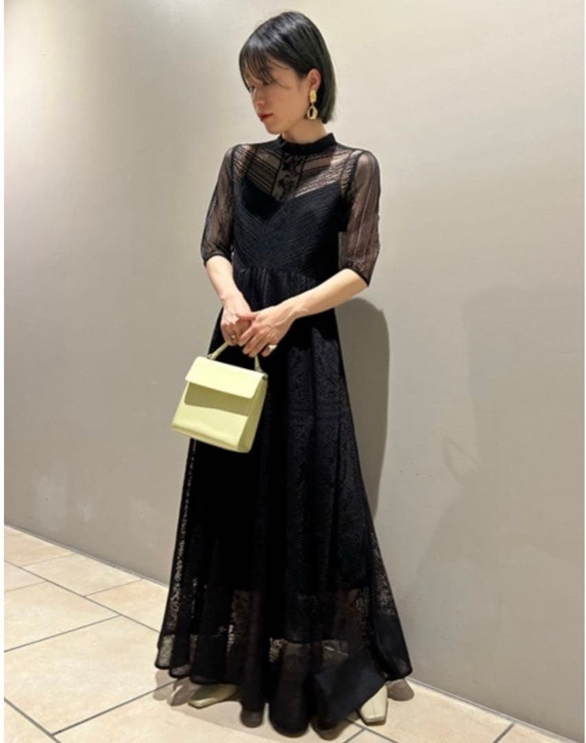 オーナメントラインパネルドレス