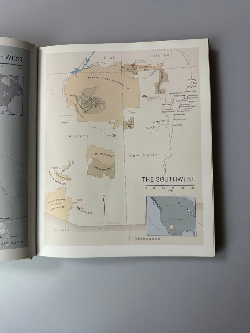 アート・デザイン・音楽 TOTEMS TO TURQUOISE