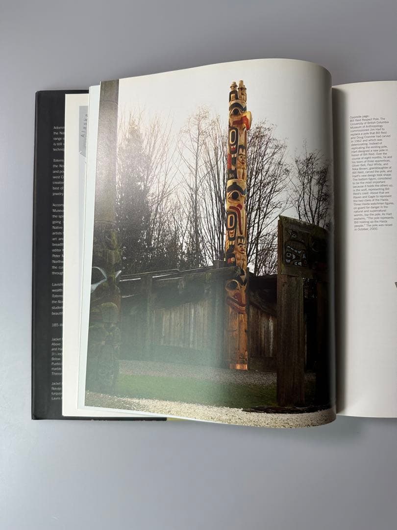 アート・デザイン・音楽 TOTEMS TO TURQUOISE