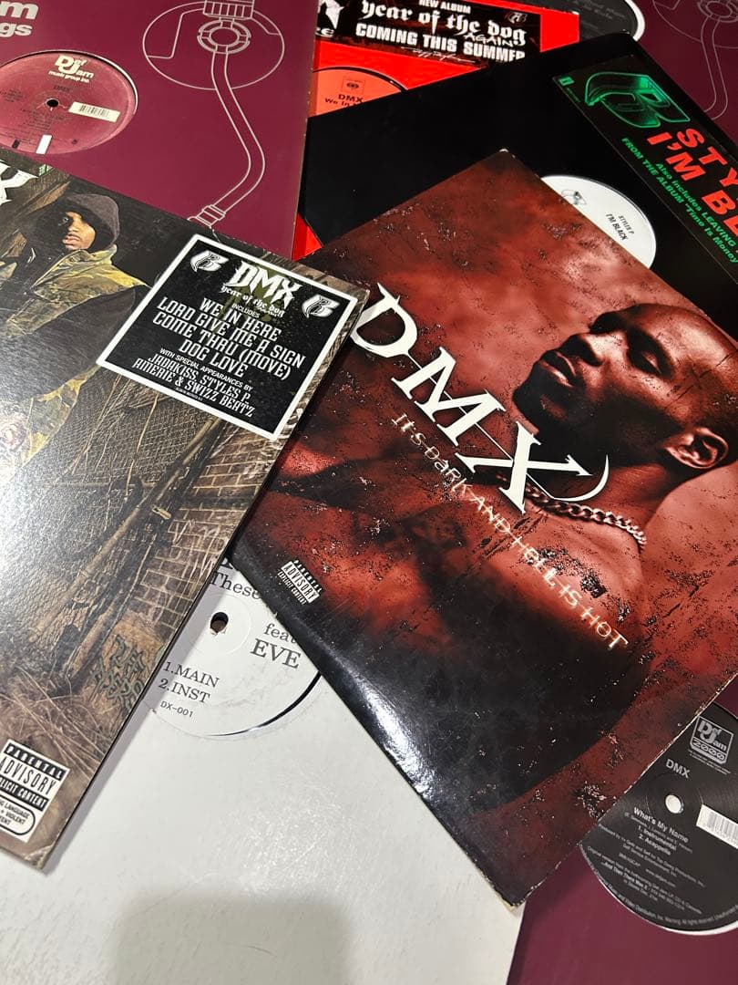 DMX レコード11枚セット　イヴ　ラフライダース