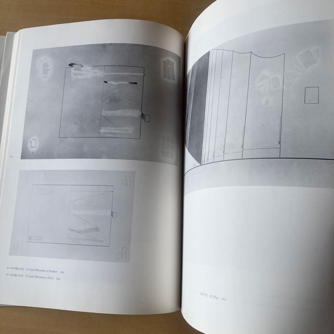 ARAKAWA Shusaku 荒川修作の実験展　見るものが作られる場