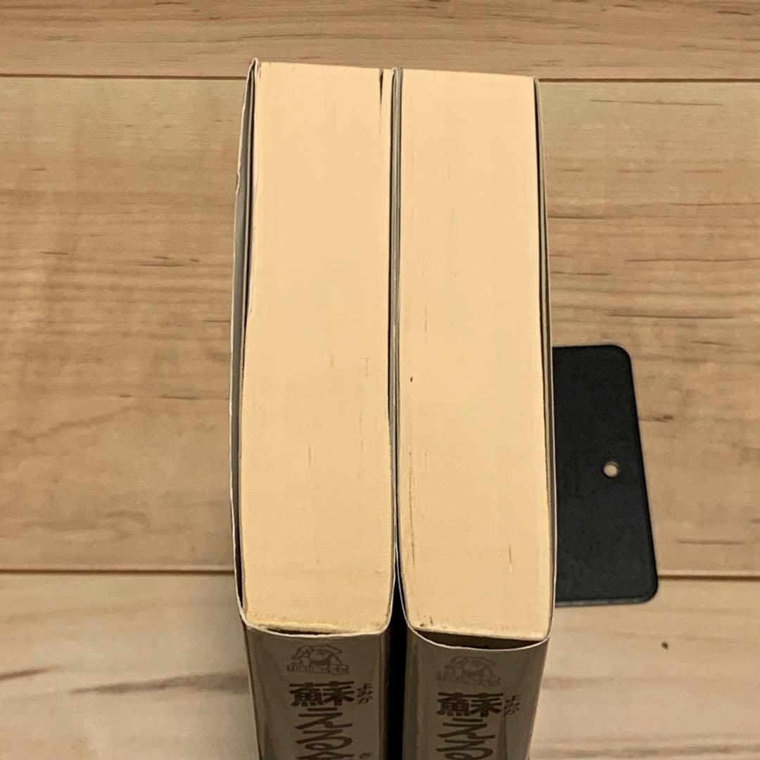 完結set大藪春彦 蘇える金狼 野望篇&完結篇 徳間ノベルス