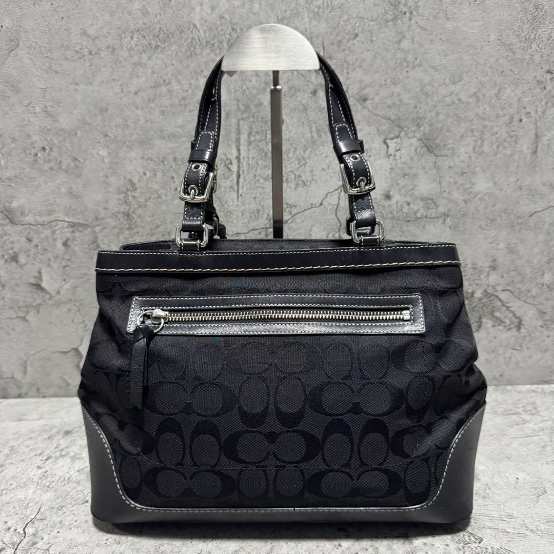 バッグ Coach Y2K Signature Leather Tote Bag