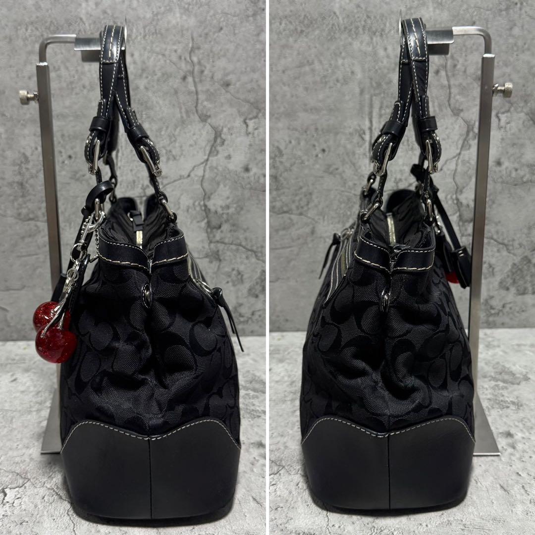 バッグ Coach Y2K Signature Leather Tote Bag