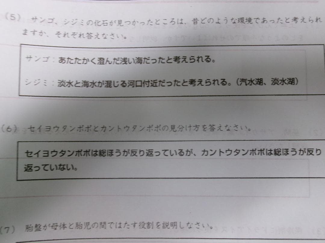 サピックス＊６年・理科 確認テスト／知識記述問題～記述が必要な学校対策＊全１７回