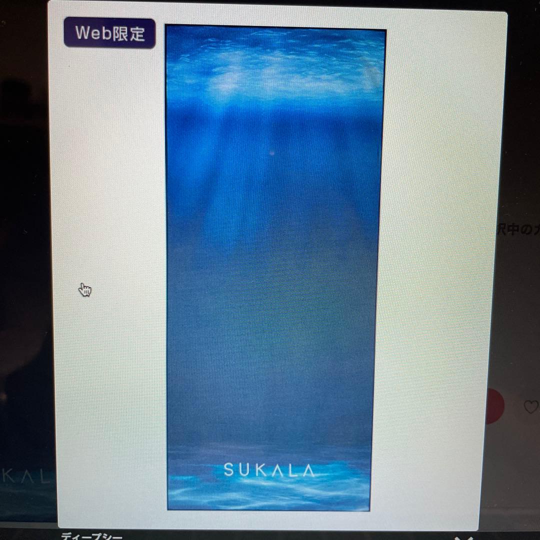 新品 未開封 lava SUKALA ヨガラグ