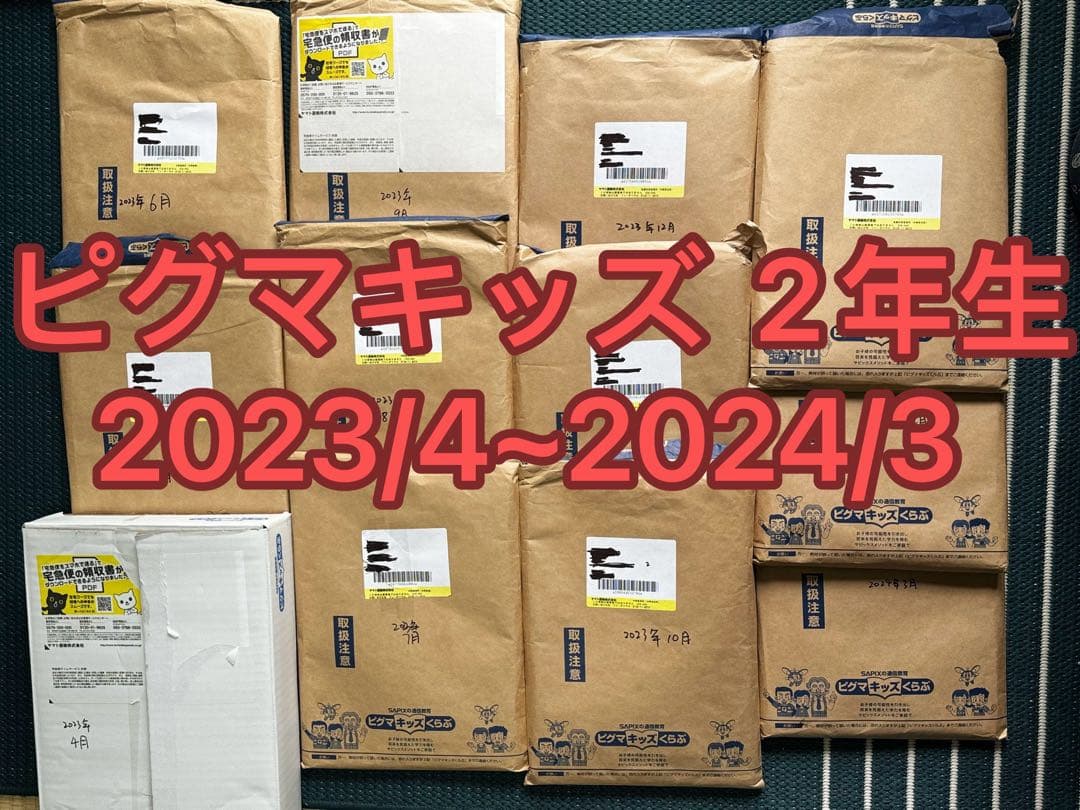 ピグマキッズ SAPIX 2年生 2023/4~2024/3 未使用 ピグマ