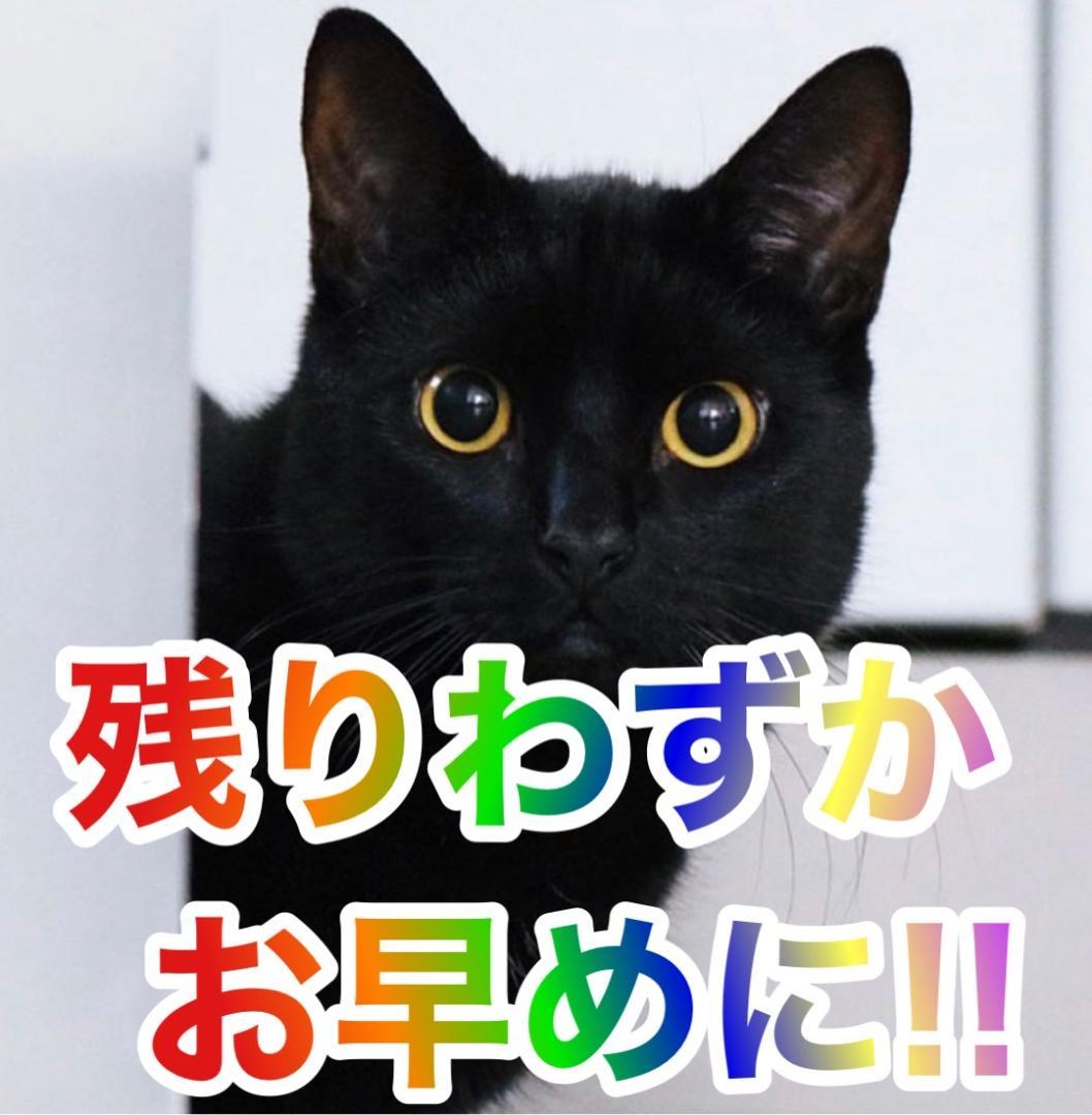 玉菜ちゃんＬ パチスロゴールデンカムイ ＫＲ　簡易ユニットボリューム調整付