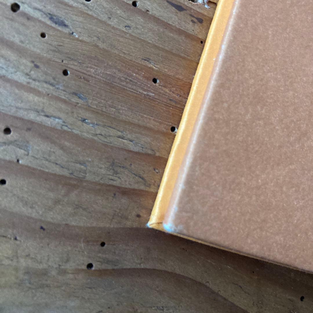 希少GusVanSant 「OneStepBigShot」ガスヴァンサント写真集