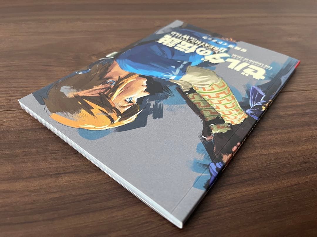 【美品】ゼルダの伝説BOW エキスパンションパス&冒険ガイドブック付限定スリーブ