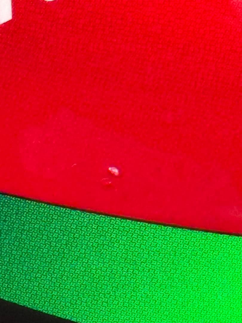 M*中様 Arai Ducati Corse フルフェイスヘルメット