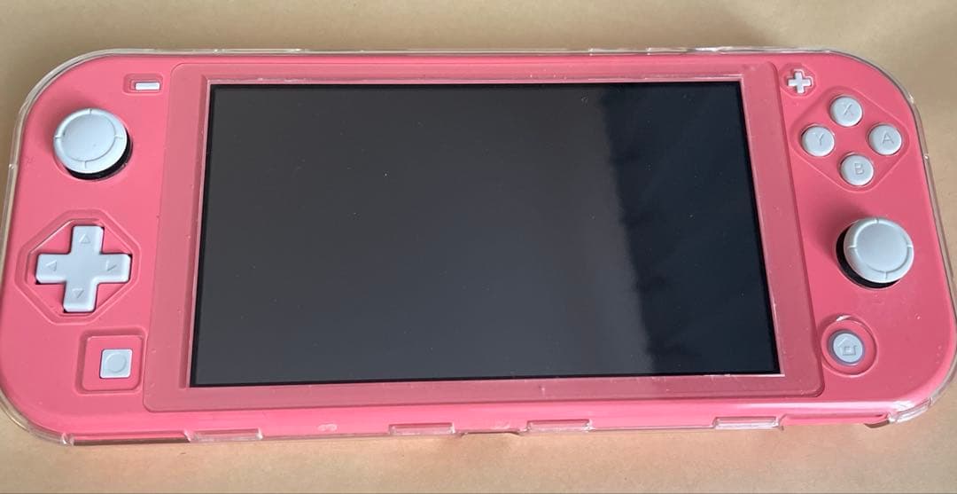 Nintendo Switch Lite ACアダプターなしケース付き