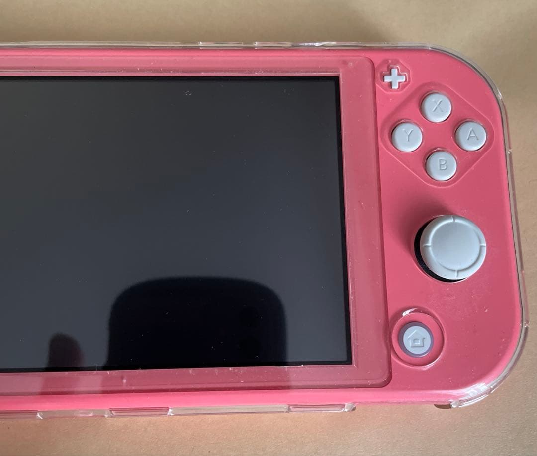 Nintendo Switch Lite ACアダプターなしケース付き