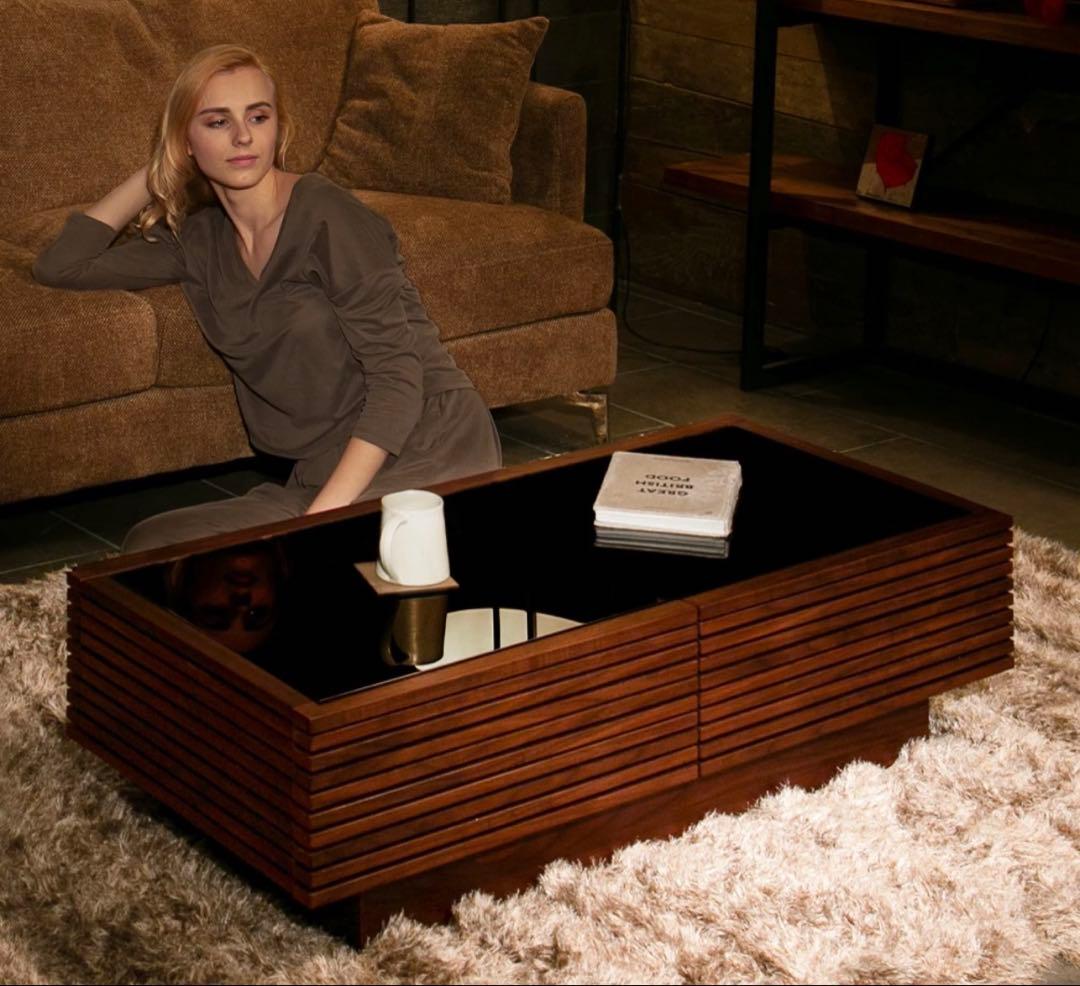 【送料込】収納付きセンターテーブル　アルモニア