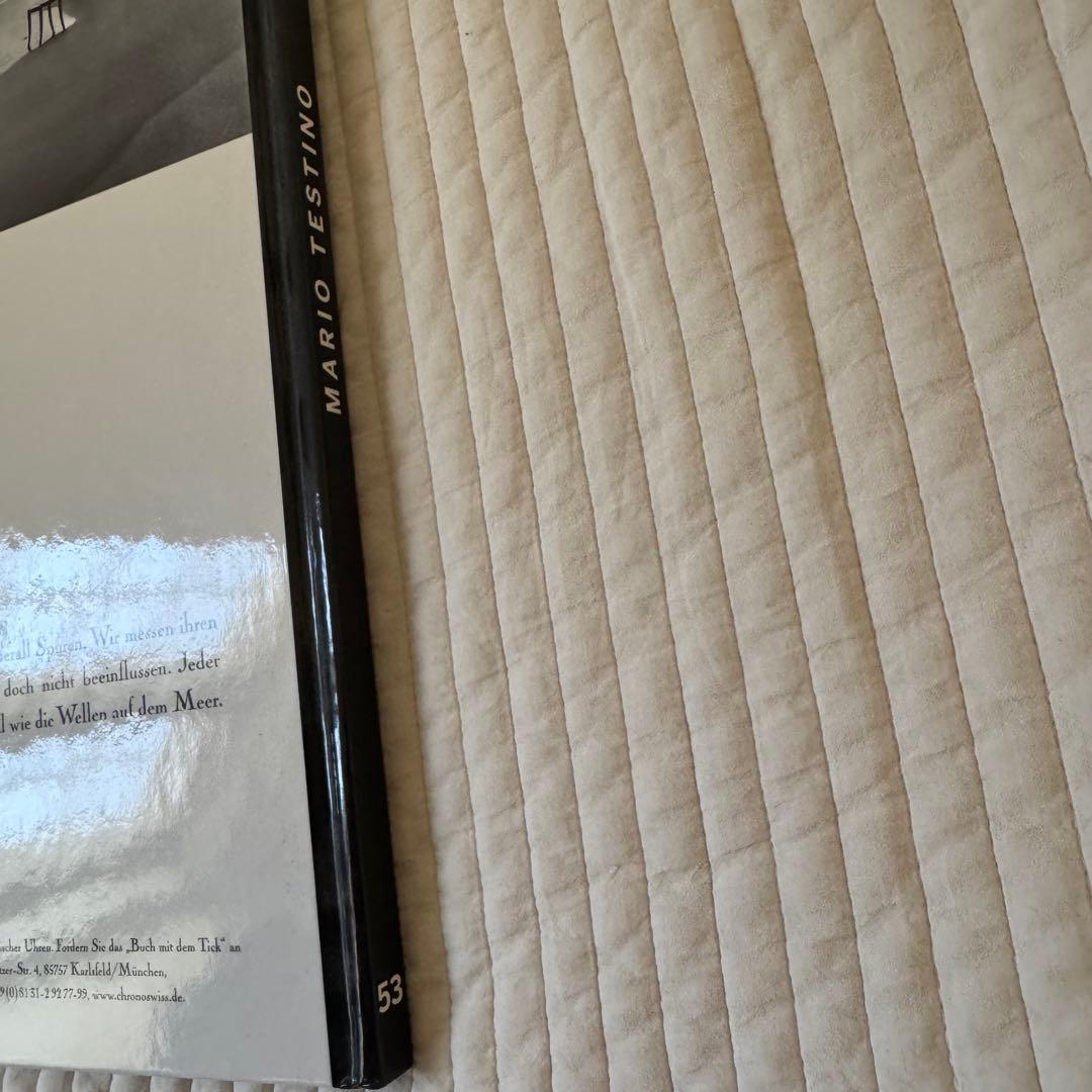 アート・デザイン・音楽 Mario Testino (Stern Portfolio 53)