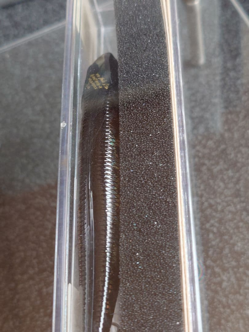 メガバス ジャイアントドッグX '99 GGデッドリーブラックシャッド 新品未