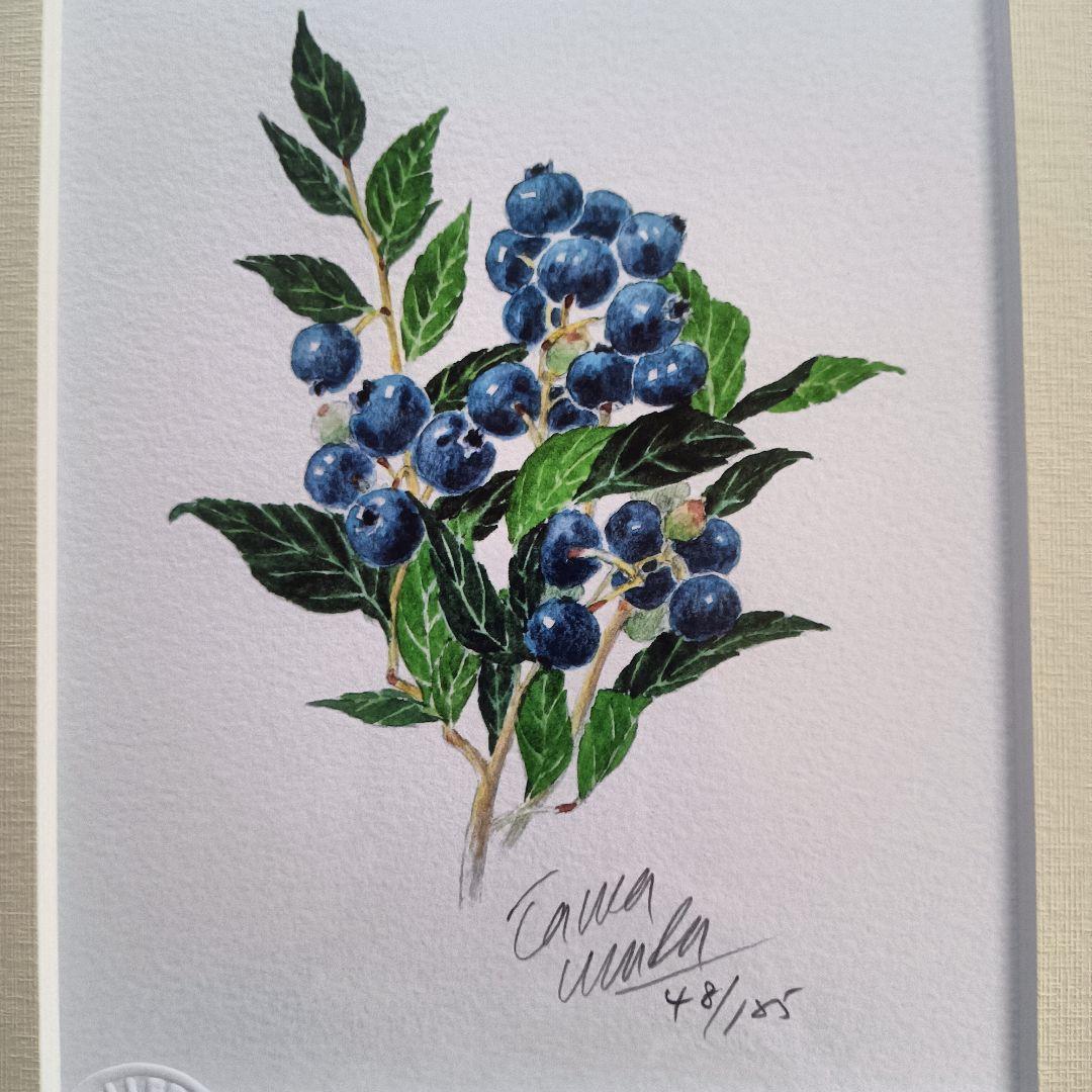 玉村豊男 ブルーベリー絵画 48/125