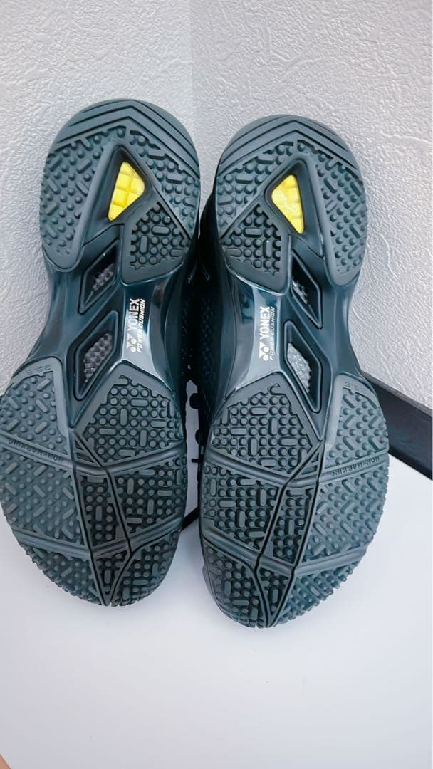 テニス YONEXオムニクレーコート用 パワークッションエクリプション2メンGC