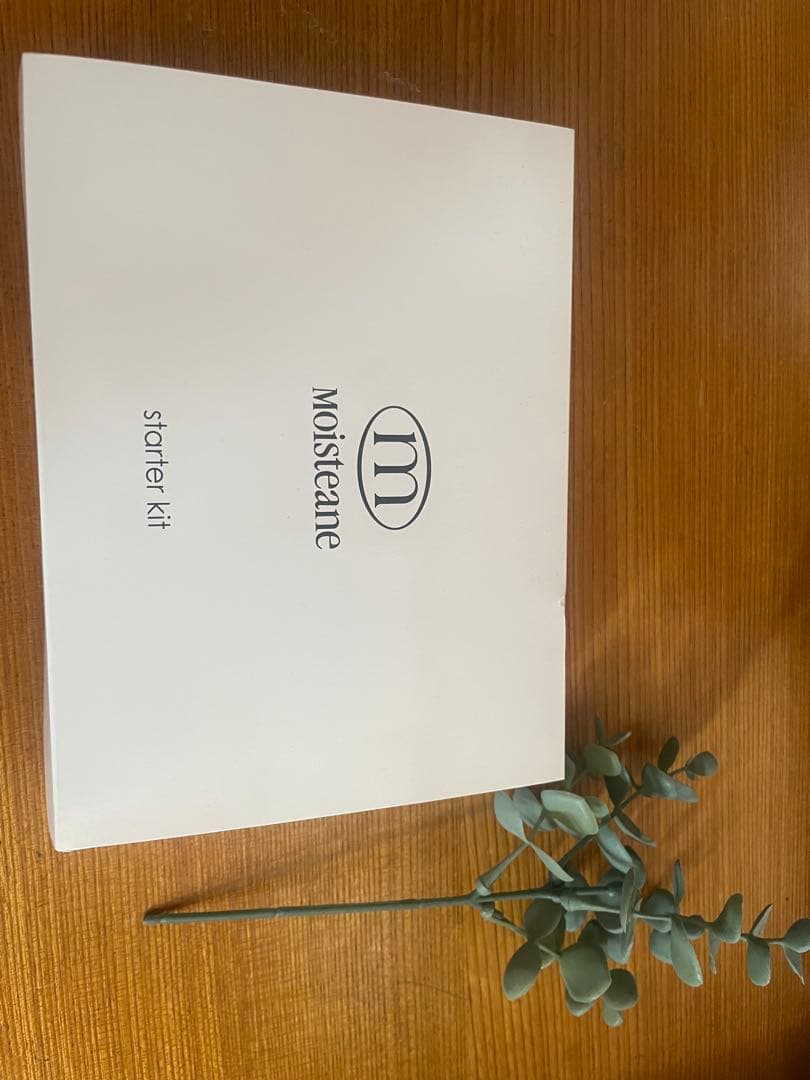 新品　未使用　Moisteane モイスティーヌ　 スターターキット