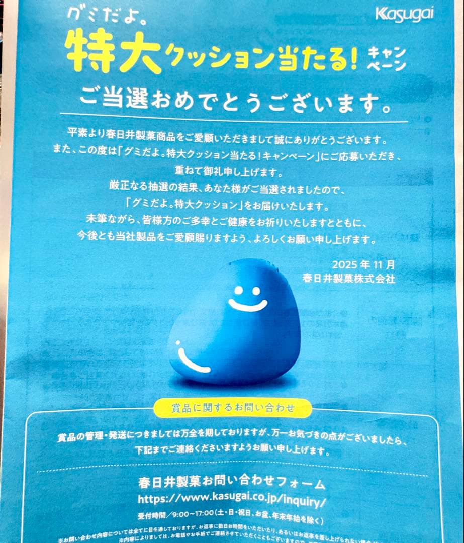 【期間限定値下げ中‼️】特大ビーズクッション 『グミだよ。』非売品