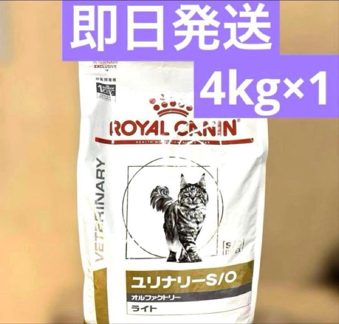  CANIN ユリナリーS/O 4kg
