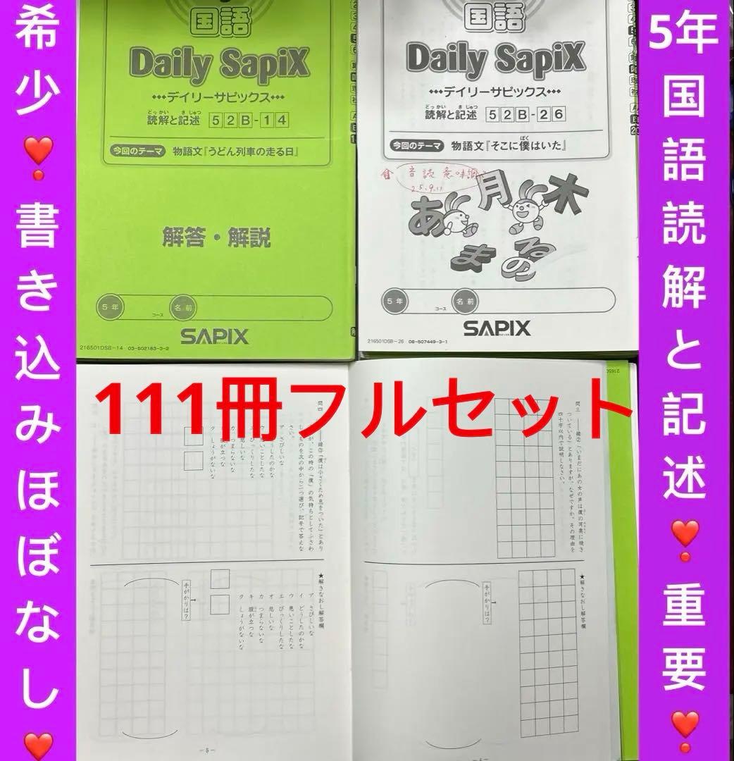⑯や　SAPIX サピックス　5年　国語　読解と記述　ほぼ未記入❣️重要教材