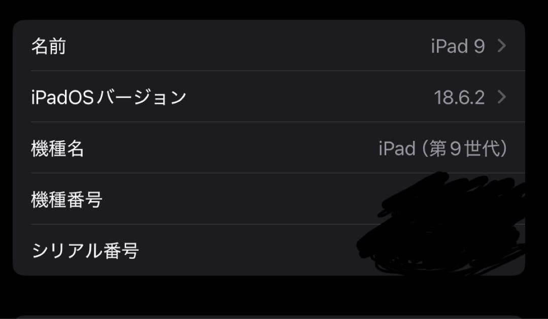 iPad 第9世代 256GB+ Apple Pencil セット