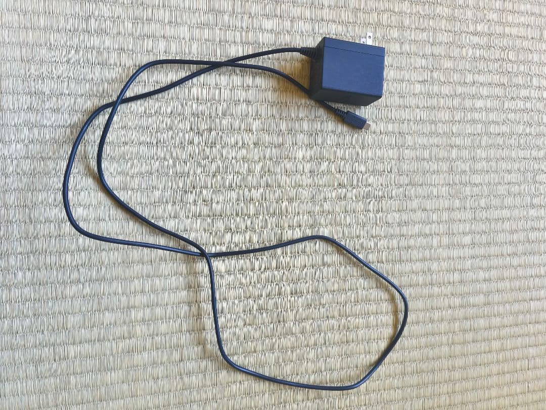 Nintendo Switch Lite グレー 本体 充電ケーブル付き