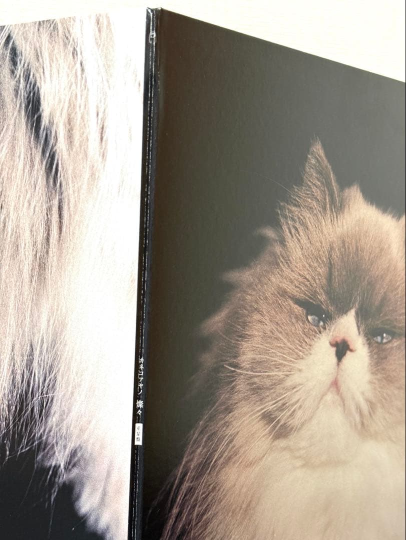 LP カネコアヤノ 燦々 重量盤 レコード アナログ盤