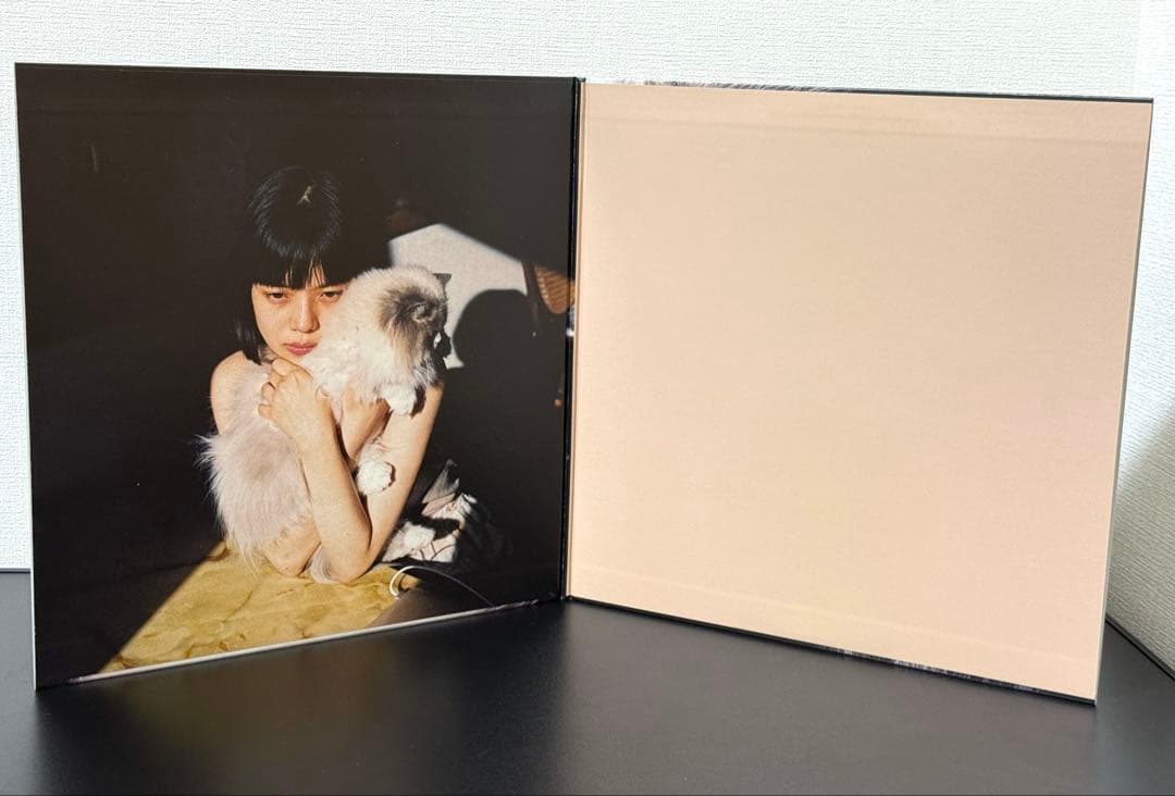 LP カネコアヤノ 燦々 重量盤 レコード アナログ盤