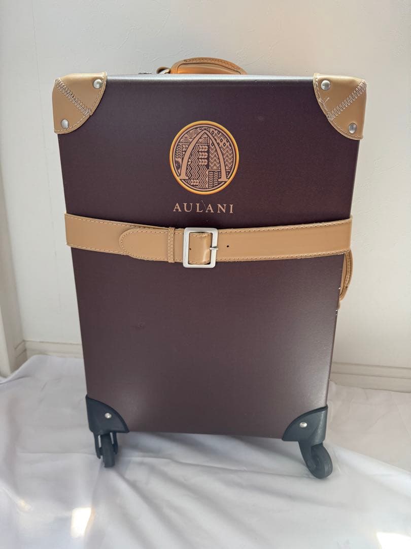 大幅値下げ‼︎【希少品】ハワイ アウラニ ディズニー　キャリーケース　AULANI