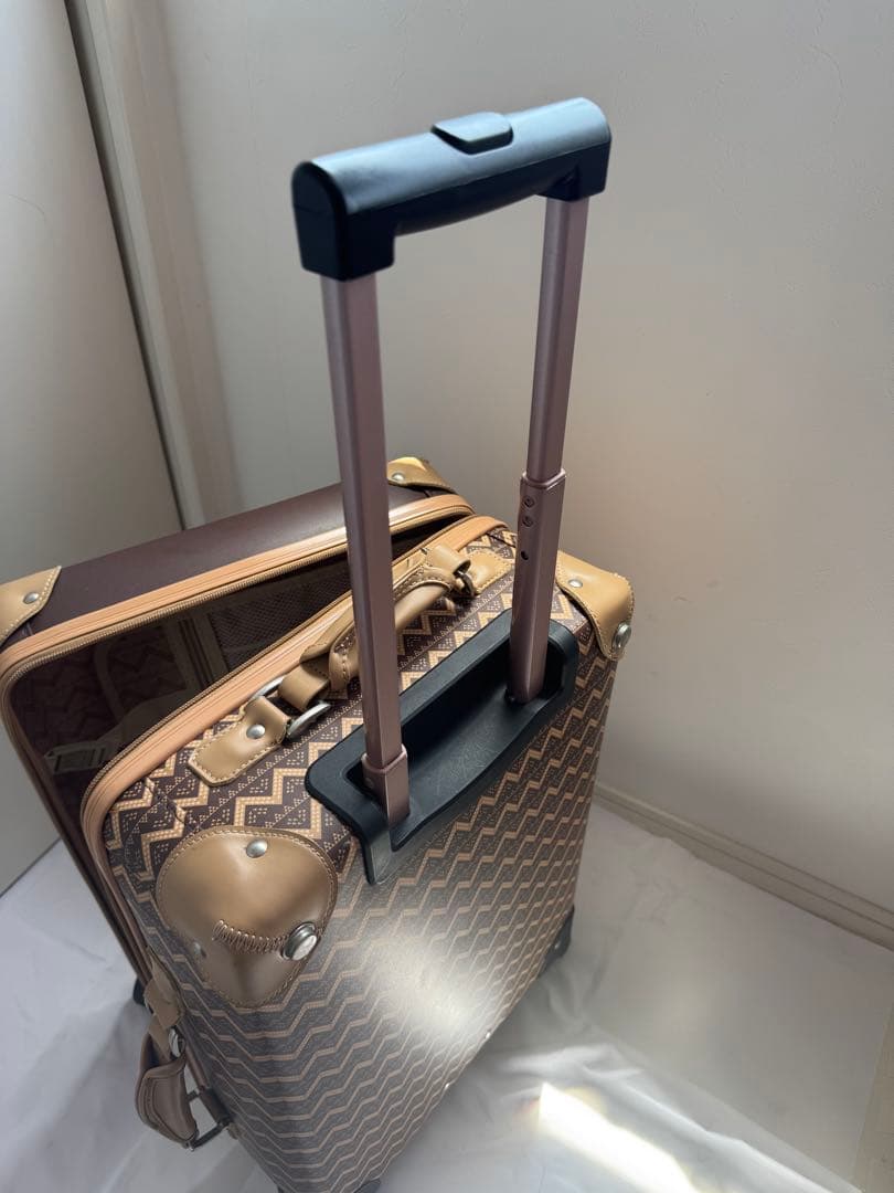 大幅値下げ‼︎【希少品】ハワイ アウラニ ディズニー　キャリーケース　AULANI