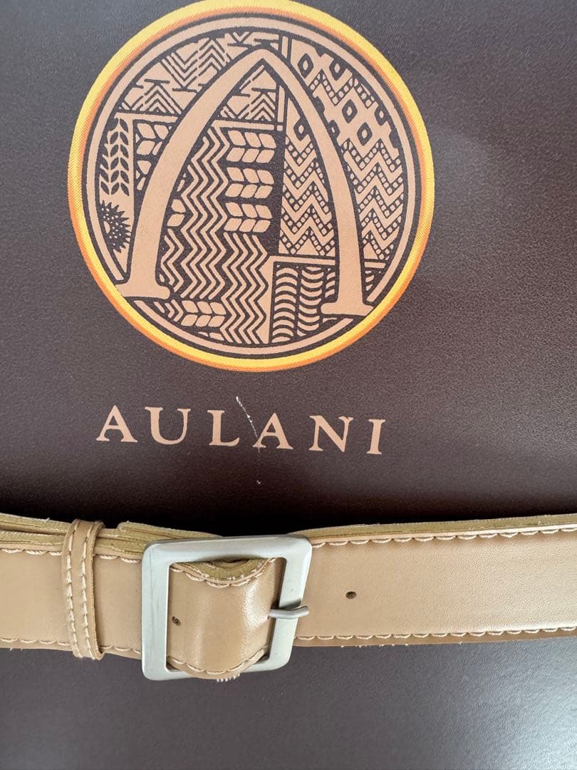 大幅値下げ‼︎【希少品】ハワイ アウラニ ディズニー　キャリーケース　AULANI
