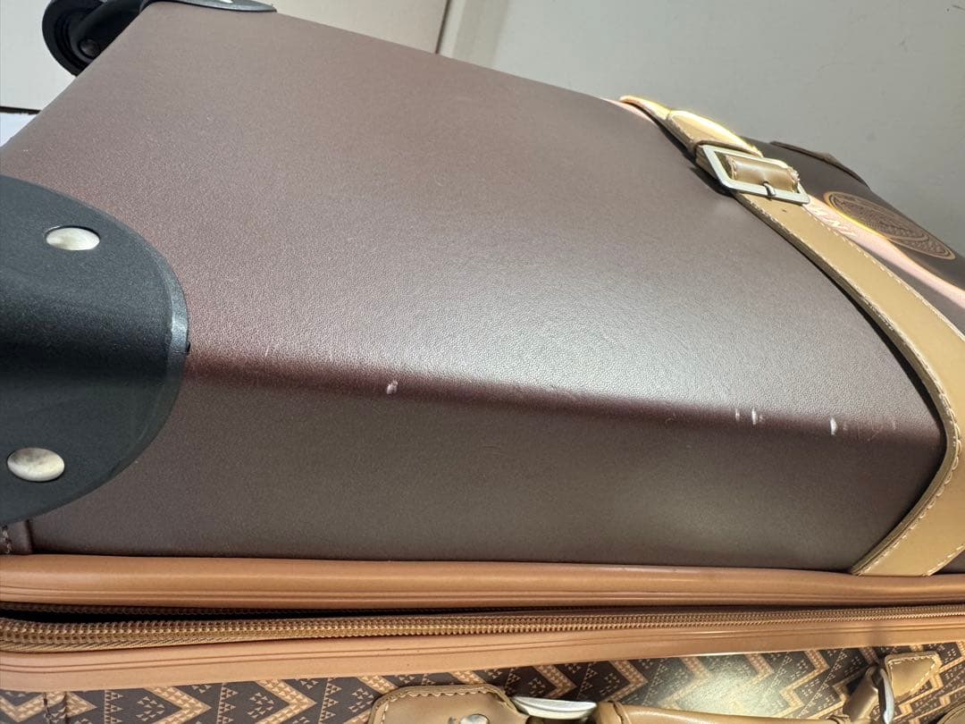 大幅値下げ‼︎【希少品】ハワイ アウラニ ディズニー　キャリーケース　AULANI